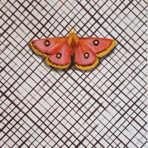 Moth26