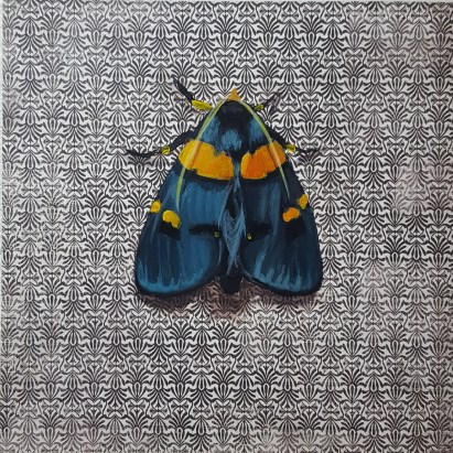 Moth6